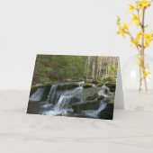 Findlay Falls II Karte (Gelbe Blume)