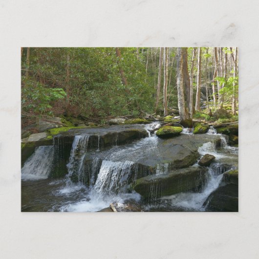 Findlay Falls II Postkarte (Vorderseite)
