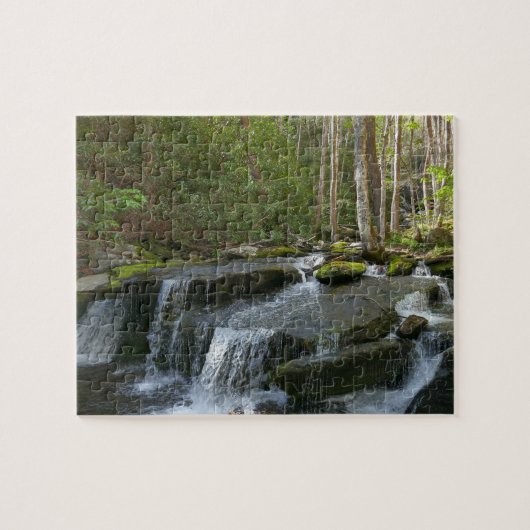 Findlay Falls II Puzzle (Horizontal)