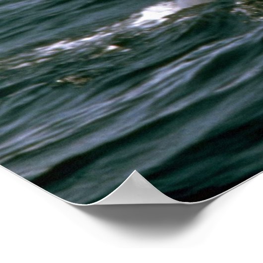 Findwal Poster (Ecke)