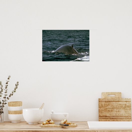 Findwal Poster (Küche)