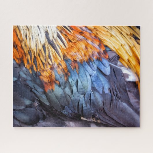 Fine Art Feather Puzzle (Horizontal)