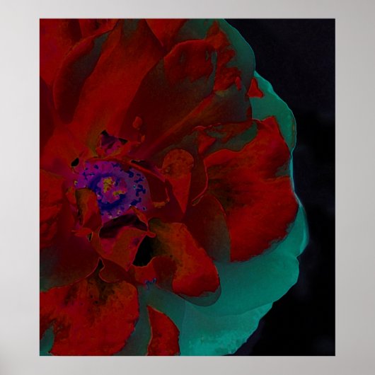 Fine Art Floral Poster (Vorne)