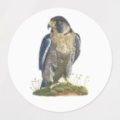 Fine Art Labels Etiketten (Design 2)