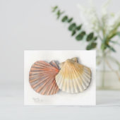Fine Art Post Card - Muscheln, Aquarell Postkarte (Stehend Vorderseite)