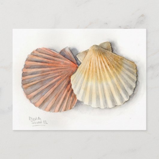 Fine Art Post Card - Muscheln, Aquarell Postkarte (Vorderseite)