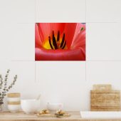 Fine Art Prints Red Tulip Blume Floral Spring Poster (Küche)