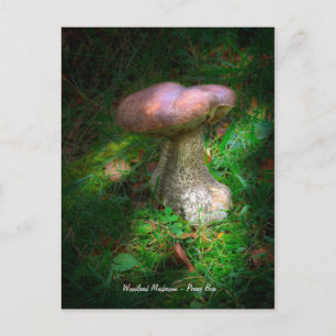 Fine Art, Woodland Mushroom - Penny Bun, Porcino Postkarte