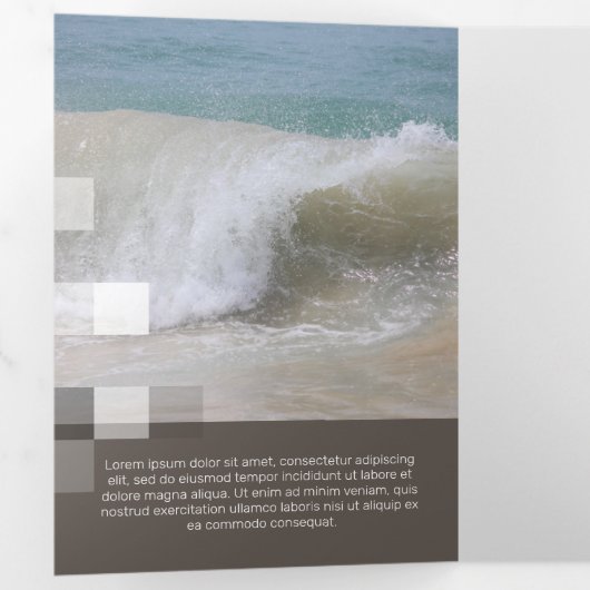 Fine Brown Contemporary Transparency Dreifach Gefaltete Karte (Innen Erste Seite)