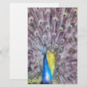 Fine Feather Peacock Paating Plumage Briefpapier (Vorne/Hinten)
