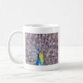 Fine Feather Peacock Paating Plumage Kaffeetasse (Links)