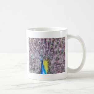 Fine Feather Peacock Paating Plumage Kaffeetasse