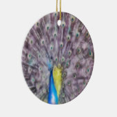 Fine Feather Peacock Paating Plumage Keramikornament (Rechts)