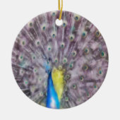 Fine Feather Peacock Paating Plumage Keramikornament (Vorne)