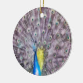 Fine Feather Peacock Paating Plumage Keramikornament (Links)
