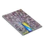 Fine Feather Peacock Paating Plumage Notizblock (Rechte Seite)