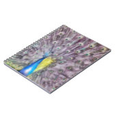 Fine Feather Peacock Paating Plumage Notizblock (Linke Seite)
