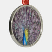 Fine Feather Peacock Paating Plumage Silbernes Ornament (Rechts)