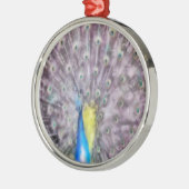 Fine Feather Peacock Paating Plumage Silbernes Ornament (Links)