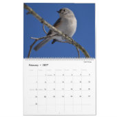 Fine Feathered Friends 2025 Kalender (Feb 2027)