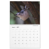 Fine Feathered Friends 2025 Kalender (Mär 2027)
