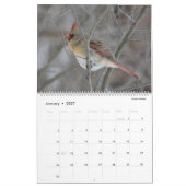 Fine Feathered Friends 2025 Kalender (Jan 2027)