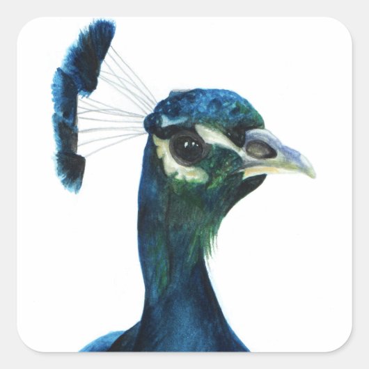 Fine Feathers Quadratischer Aufkleber (Vorderseite)