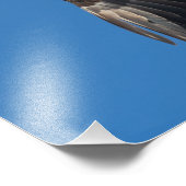 Fine Lady Fotodruck (Ecke)