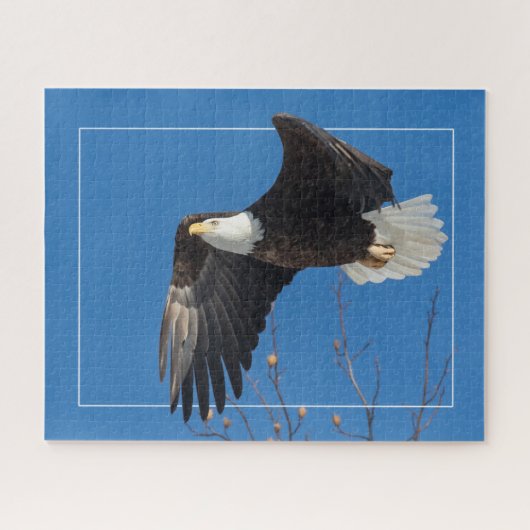 Fine Lady Puzzle (Horizontal)