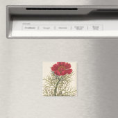 Fine Leaved Paeony Magnet (In Situ (Geschirrspüler))