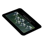 Finesse: Inspiration Magnet (Rechte Seite)