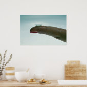 Finger halten Kontaktlinse Poster (Küche)