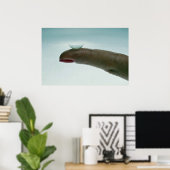 Finger halten Kontaktlinse Poster (Heimbüro)