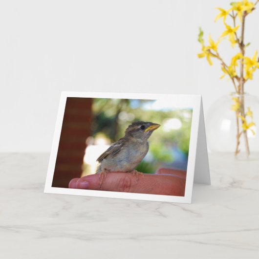 Finger Karte (Gelbe Blume)