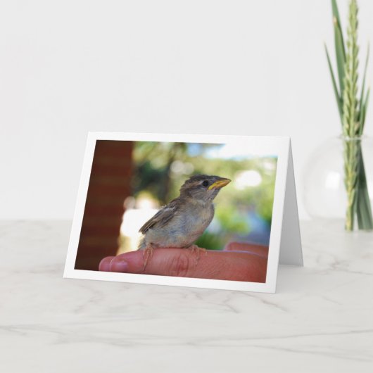 Finger Karte (Vorderseite)