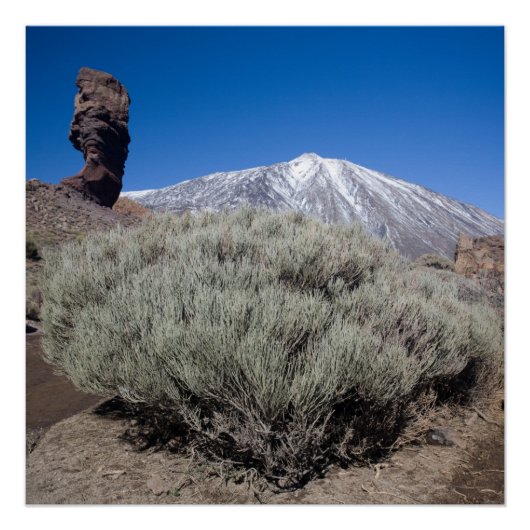 Finger of God Poster (Vorderseite)