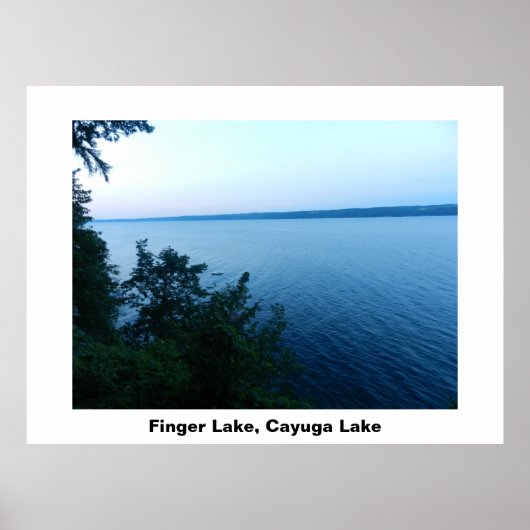 FINGER SEE CAYUGA LAKE Plakat (Vorne)