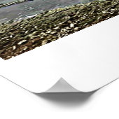 FINGER SEEN CAYUGA LAKE POSTER (Ecke)