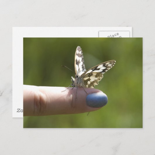 Fingerfliege Postkarte (Vorne/Hinten)