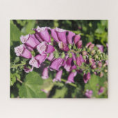 Fingerhut Puzzle (Horizontal)
