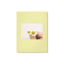 „Fingerkpit-Daisy – Sanfte Naturwandkunst“