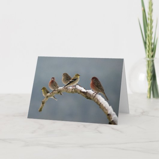 Fink-Weihnachtskarte Feiertagskarte (Vorderseite)