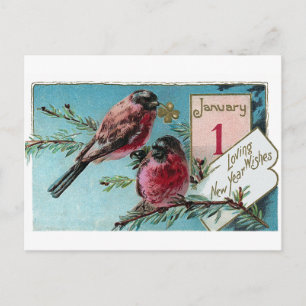 Finken auf Kiefernbaum Vintage Neujahr Feiertagspostkarte
