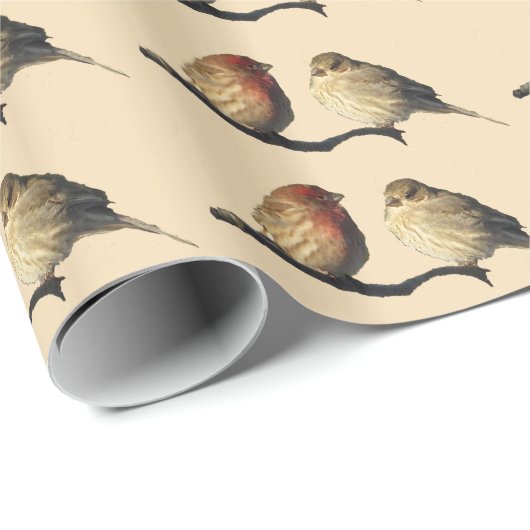Finken Geschenkpapier (Rolleneckpunkt)