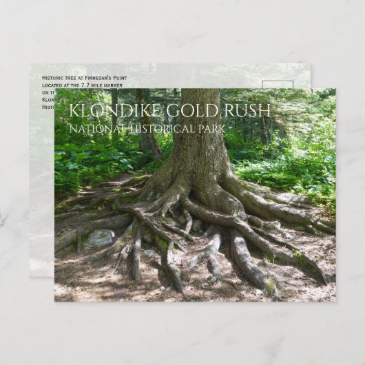Finnegan's Point, Chilkoot Trail, Gold Rush NHP Postkarte (Vorne/Hinten)