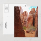 Finnen, Arches National Park, Utah, Postcard Postkarte (Vorne/Hinten)