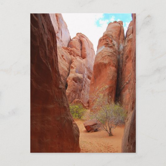 Finnen, Arches National Park, Utah, Postcard Postkarte (Vorderseite)