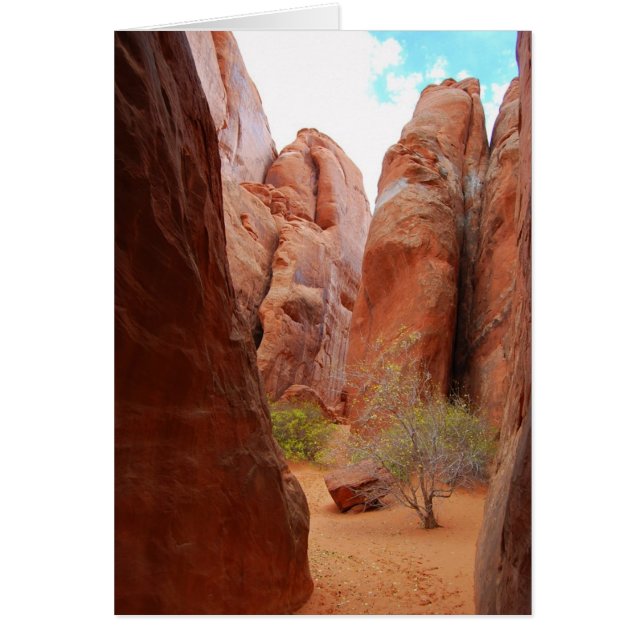 Finnen, Arches Nationalpark, Utah Card (Vorne)
