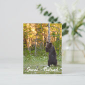 Finnisch-Finnische Naturpostkarte Postkarte (Stehend Vorderseite)