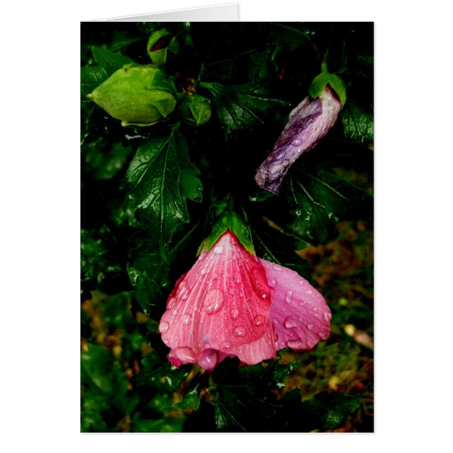 Finnisch-Hyvää Syntymäpäivää-raindrops (Vorne)